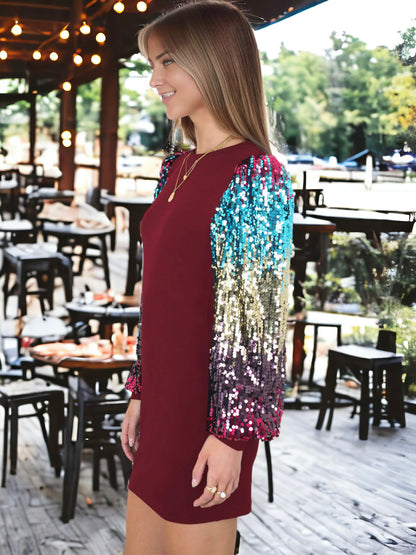 Confetti Sequin Bishop Long Sleeve Round Neck Pullover Dress