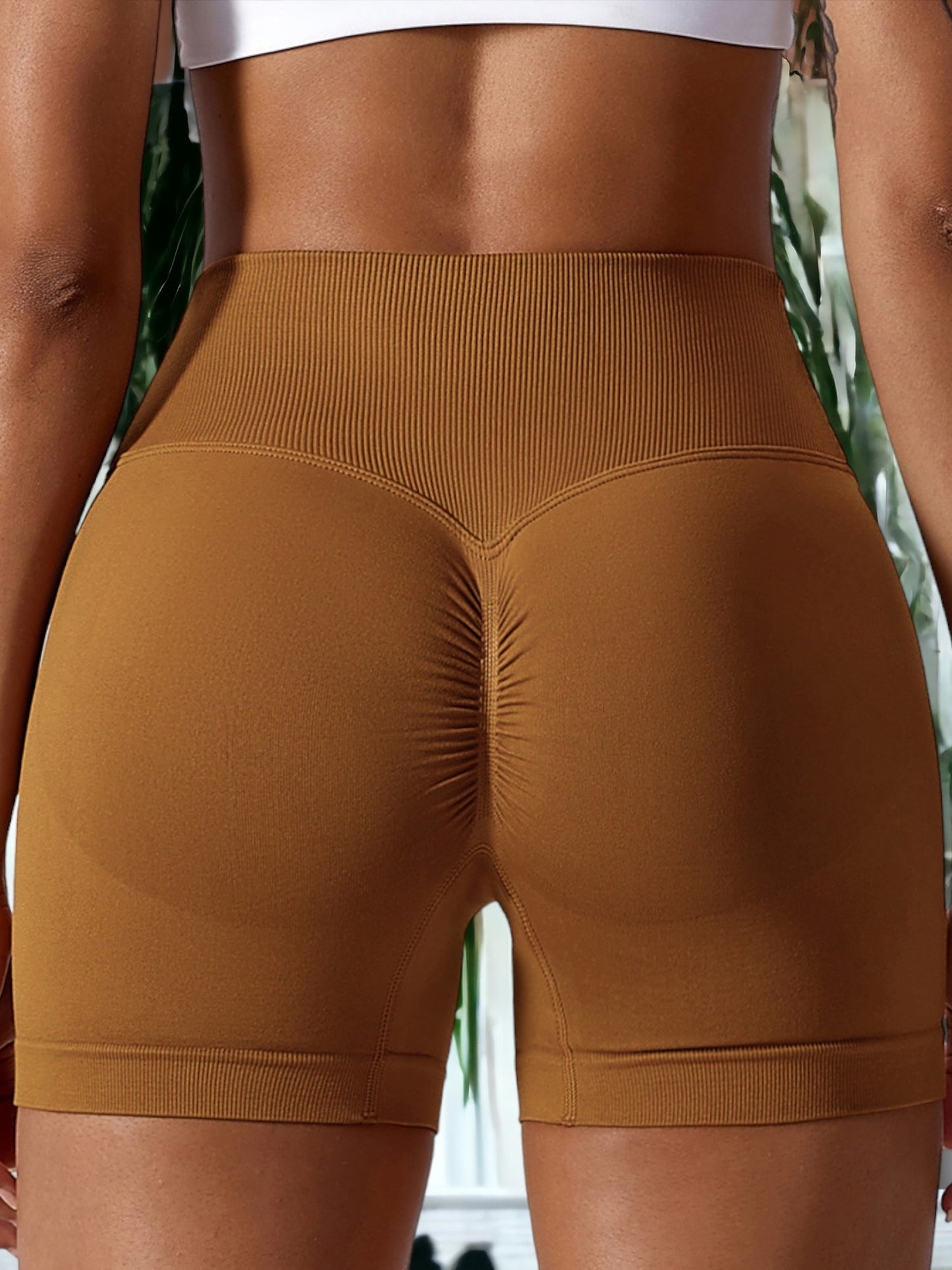 Elastic High Waisted Seamless Sports Shorts