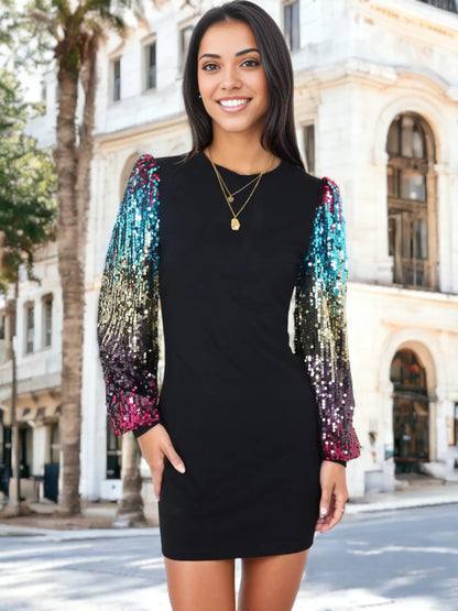 Confetti Sequin Bishop Long Sleeve Round Neck Pullover Dress