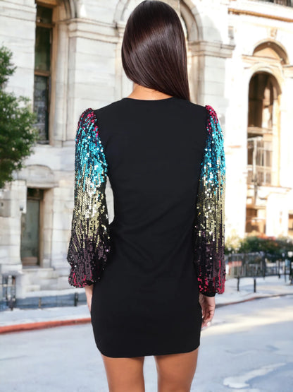 Confetti Sequin Bishop Long Sleeve Round Neck Pullover Dress