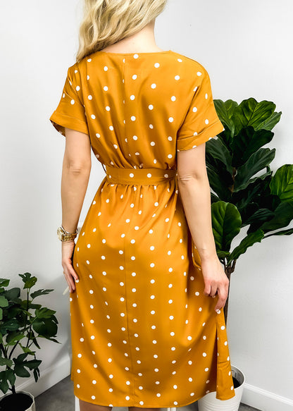 Polka Dot Contrast Button Dress