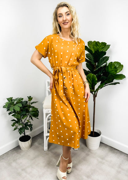 Polka Dot Contrast Button Dress