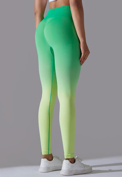 High Waist Ombre Leggings