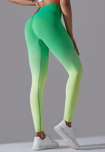 High Waist Ombre Leggings