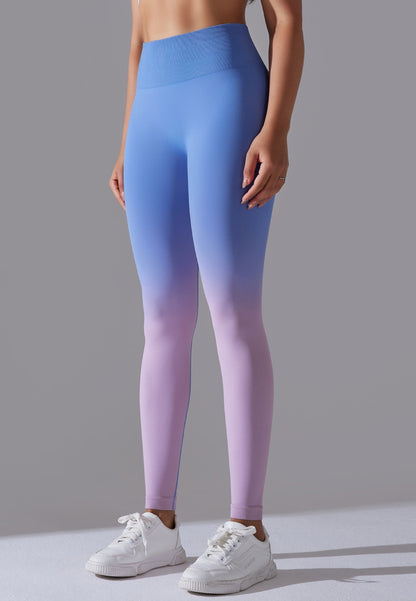 High Waist Ombre Leggings